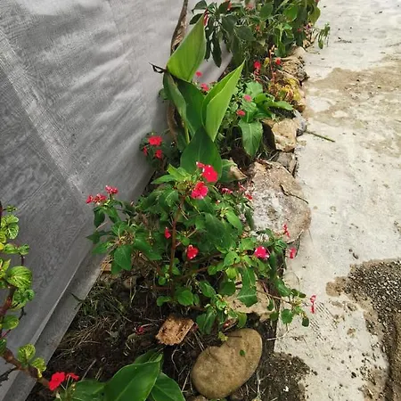 Dreamcatcher Homestay, Kundasang Ranau Luaran gambar