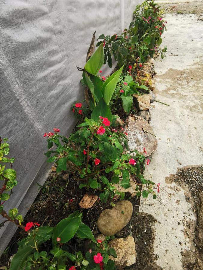 Homestay Dreamcatcher Homestay, Kundasang *