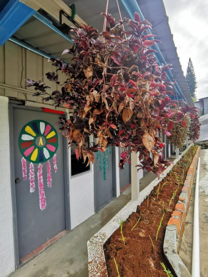 Dreamcatcher Homestay, Kundasang Ranau