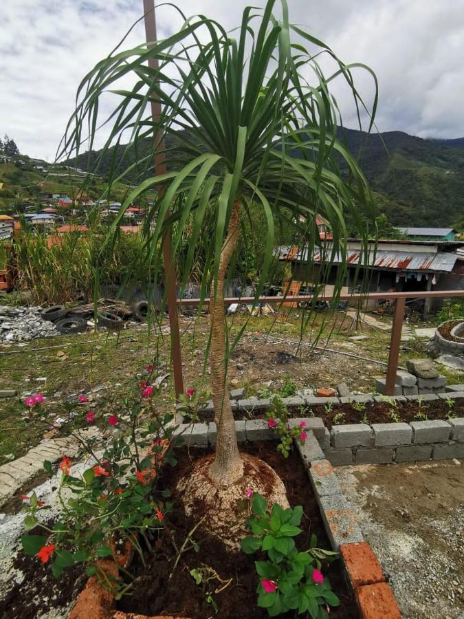Dreamcatcher Homestay, Kundasang Homestay *